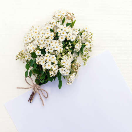 Greeting card template. A bouquet of twigs with white small flowers with a bow and a place for greeting or design on a light background.の写真素材