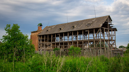 Abandoned and ruined old farm overgrown with bushes and treesの写真素材