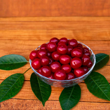 Ripe large juicy cherries in a transparent plate on a wooden table with green leaves.の写真素材