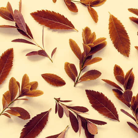 Bright autumn twigs with leaves on a pastel background.