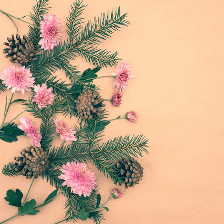 Green spruce branches with cones and pink chrysanthemum flowers on a pastel background
