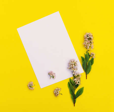 Greeting card with a bouquet of wildflowers with copy space
