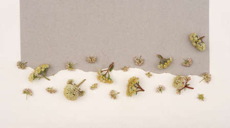 Greeting card with a bouquet of wildflowers with copy spaceの写真素材