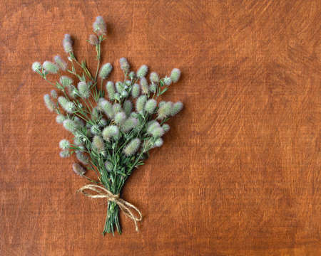 card with a bouquet of wild fluffy flowers with copy space for designの写真素材