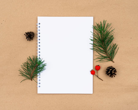 Evergreen sprigs of pine needles, notebook, cones and red berries with copy space.の写真素材