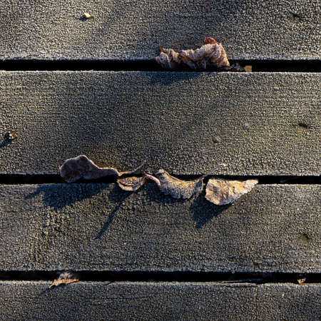 Background from wooden gray boards covered with hoarfrostの写真素材