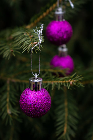 Background of green branches of a Christmas tree with shiny colorful balls.の写真素材