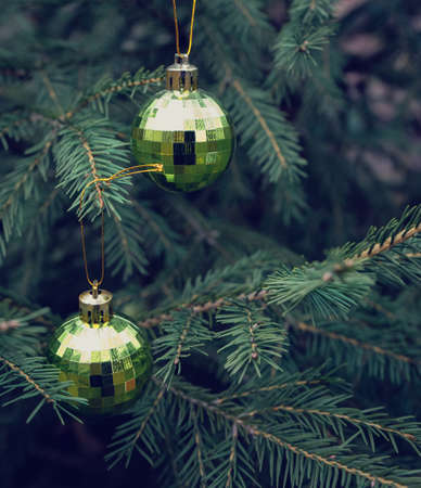 Background of green branches of a Christmas tree with shiny colorful balls.の写真素材