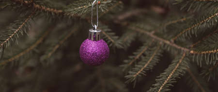 Background of green twigs of a Christmas tree with shiny colorful ball.の写真素材