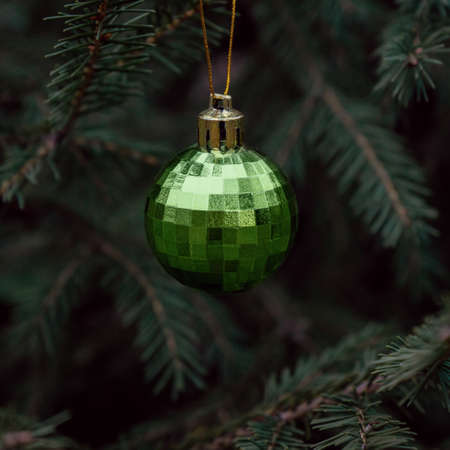 Background of green twigs of a Christmas tree with shiny colorful ball.の写真素材