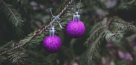 Background of green branches of a Christmas tree with shiny colorful balls.の写真素材