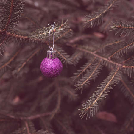 Background of green twigs of a Christmas tree with shiny colorful ball.の写真素材