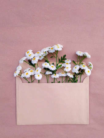 Minimalistic cute postcard with a bouquet of lush white daisies.の写真素材