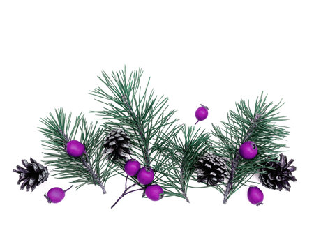 Evergreen sprigs of pine needles, cones and red berries on a white background with copy space.の写真素材