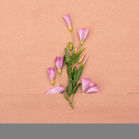 Minimalistic floral greeting card with a bouquet of pink wildflowers.の写真素材