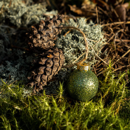Green moss background with shiny green balls and cones.の写真素材