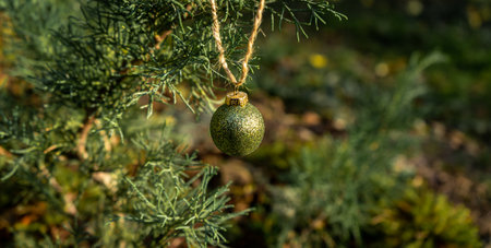 Background of green twigs of a Christmas tree with shiny colorful ball.