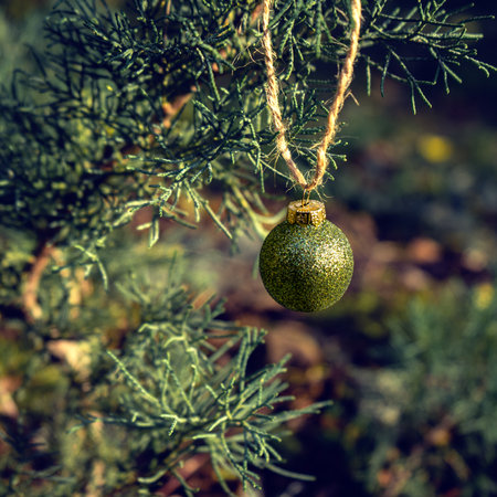 Background of green twigs of a Christmas tree with shiny colorful ball.の写真素材
