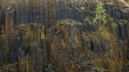 Background from natural material of basalt stonesの写真素材