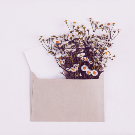 Wildflowers floral greeting card with copy spaceの写真素材