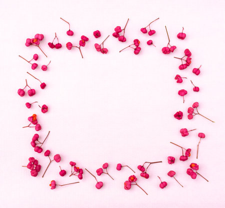 Floral frame with small red flowers and copy space on pink background