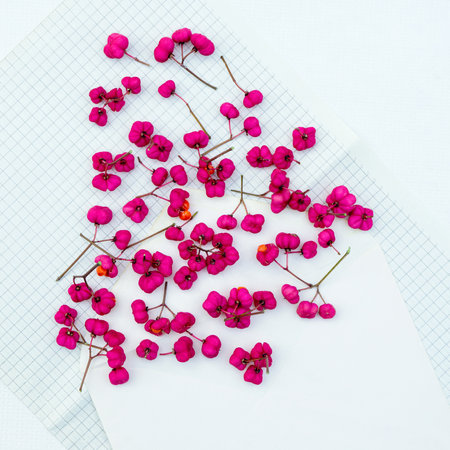 Background with small red flowers and copy spaceの写真素材