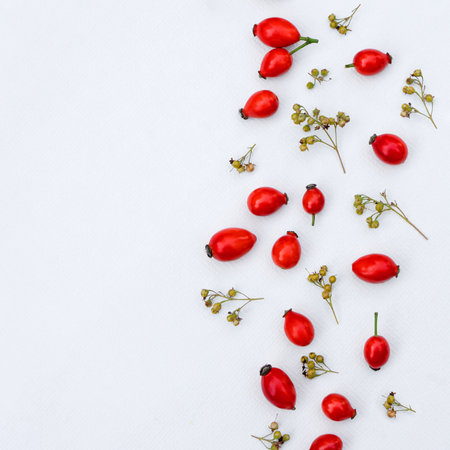 Floral background of bright red rose hips with copy spaceの写真素材