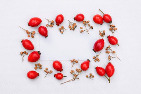 Floral frame of bright red rose hips with copy space on white backgroundの写真素材