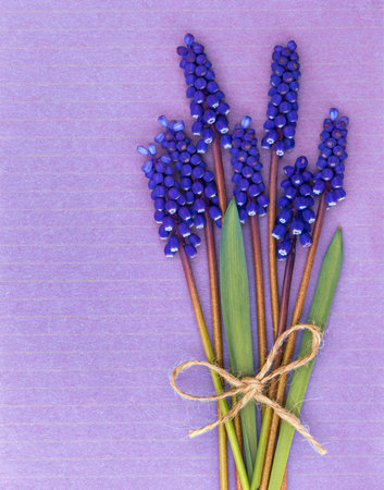Spring card with a bouquet of bright blue flowersの写真素材