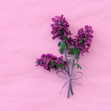 Spring card with purple flowers with copy spaceの写真素材