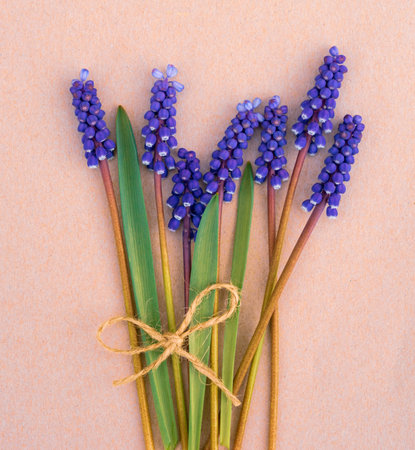 Spring card with a bouquet of bright blue flowersの写真素材