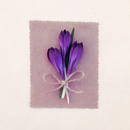 Spring card with purple crocuses with copy spaceの写真素材