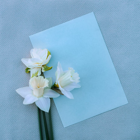 romantic card with a bouquet of tender spring daffodils close-upの写真素材