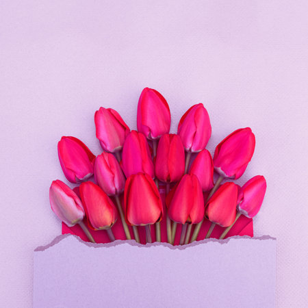 romantic card with a large bouquet of bright red tender tulipsの写真素材