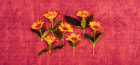 Bouquet of flowers close-up on a wooden surface.