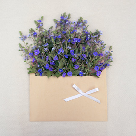 Stylish greeting card with a bouquet of wild flowers in an envelopeの写真素材