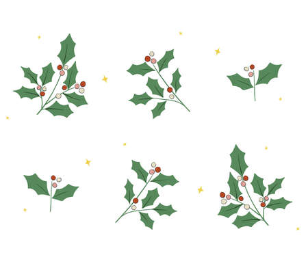 Vector Christmas Holly tree leaf and red berry fruit illustration graphic resourceのイラスト素材