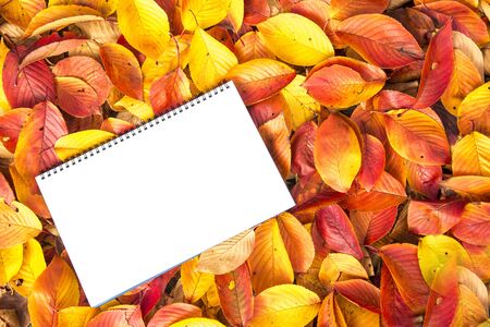 Blank note on autumn leaves backgroundの写真素材