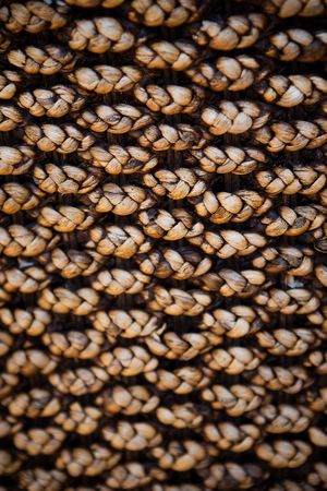 Close up shot of a wicker basketの写真素材