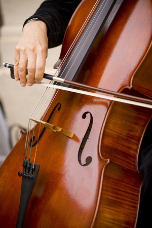 Celloの写真素材