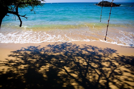 Tree shadow on the beachの写真素材