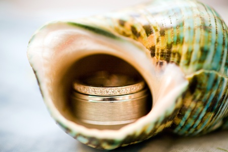 wedding ringsの写真素材