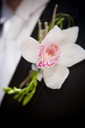 boutonniereの写真素材