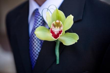 boutonniereの写真素材