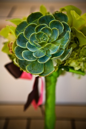 Wedding bouquetの写真素材