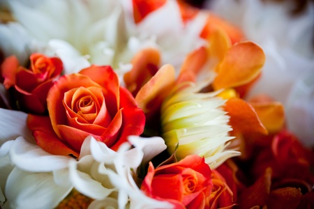 Bouquetの写真素材