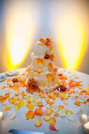 Cakeの写真素材