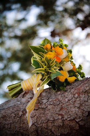 Bouquetの写真素材