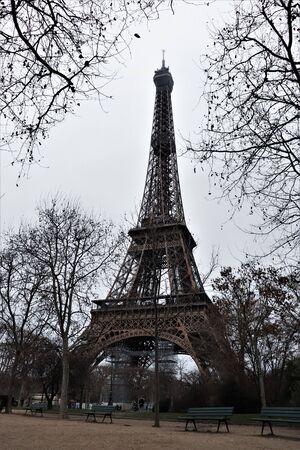 Eiffel Tower Framed with Trees - Complemented by a being surrounded by a natural border, the...