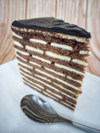 A slice of chocolate spartak cake or chocolate honey cake. Selective focus points. Blurred...